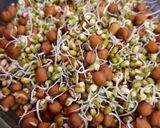 A picture of step 1 of Sprout Salad.
