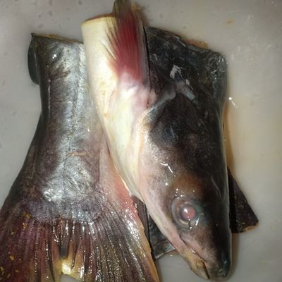 Langkah 1