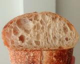 Foto langkah ke 20 dari resep Basic Sourdough Bread 96% (Oven Tangkring).