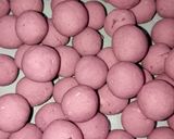 Foto langkah ke 3 dari resep Biji Salak Ubi Ungu.