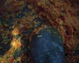 Foto langkah ke 1 dari resep Jengkol balado.