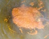 Foto langkah ke 2 dari resep Sambal cumi pete.