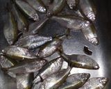 Foto del paso 3 de la receta: Mojarras fritas