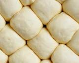 Double Rise Dinner Rolls recipe step 5 photo