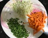 Hakka noodles-chow mein recipe step 3 photo