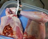 Foto del paso 1 de la receta: Lechazo castellano