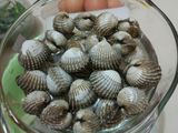 Kerang dara saos asam pedas