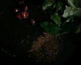 A picture of step 4 of Karhi pakora.