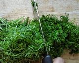 A picture of step 2 of Dill leaves lentil curry | Suva-toordal bhaji | Sabsige soppina palya.