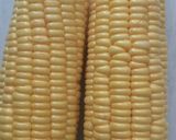 Foto langkah ke 1 dari resep Grontol Jagung.