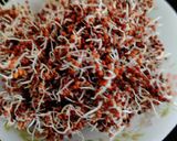 A picture of step 1 of Sprouted Ragi.