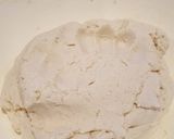 Foto del paso 4 de la receta: Tortillas recién hechas