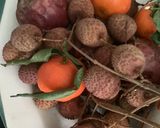 Une image de l'étape 1 de 🎁Panna 🥭cotta🍍 fête 🥳 les fruits exotiques🫐🥝.