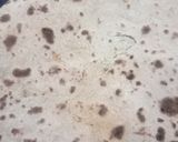 A picture of step 5 of Amritsari kulcha with mutton mince without oil.