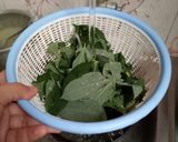 Foto langkah ke 2 dari resep Daun Ubi Blender Rencah Sale.
