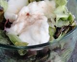 Foto del paso 5 de la receta: Crema fría de lechuga hoja de roble y pepino