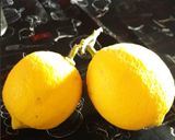 Foto del paso 6 de la receta: Cuadraditos de limón