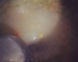 Soto Bening ala Picka Kitchen langkah memasak 4 foto