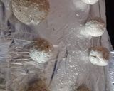 Foto del paso 2 de la receta: Galletas de avena-plátano veganas (con proteína de soya)