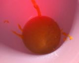 A picture of step 2 of Mango lemonade.