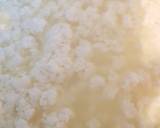 Homemade paneer cheese recipe step 4 photo