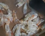 Foto langkah ke 2 dari resep Kaldu udang bubuk.