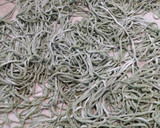 Foto del paso 3 de la receta: Fideos caseros de espinaca