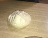 A picture of step 1 of Pan fried gluten free dumplings.