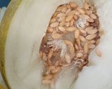 A picture of step 1 of Juicy limelon.