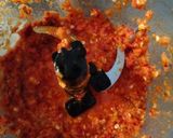 Foto langkah ke 2 dari resep Ikan Cakalang Panggang Bumbu Pedas.