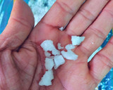 Foto del paso 3 de la receta: Bonito seco en salazón secado en las brisas del Mediterráneo