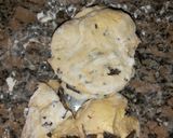 Foto del paso 3 de la receta: Pan dulce todo el año
