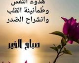 صورة لخطوة 4 من وصفة زبادي مع بذور الشيا والمشمش........🐼🤎👍
