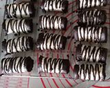 Foto langkah ke 9 dari resep 47. Choco Banana Roll Simple.