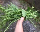 Hình bước làm 1 của món Ngọn rau su su xào mề gà