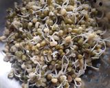 A picture of step 1 of Fresh green salad.