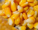 मसाला कॉर्न (masala corn recipe in Hindi) रेसिपी चरण 1 फोटो