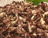Foto del paso 10 de la receta Virutas de chocolate