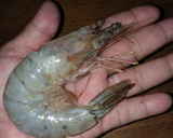 Foto del paso 1 de la receta: Camarones en empanizado campestre.....🇸🇻