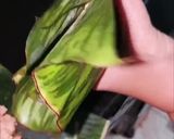 Foto langkah ke 3 dari resep Pepes Tahu Teri.