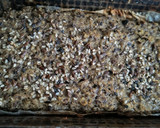 Foto del paso 2 de la receta: Pan de lentejas proteico low carb