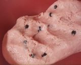 A picture of step 4 of Rose flavoured choco chip cookies.