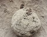 Foto del paso 3 de la receta: Trufas