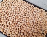 Foto langkah ke 8 dari resep Kacang telur.
