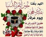 صورة لخطوة 11 من وصفة دولمة باذنجان
