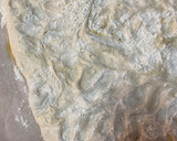 Foto del paso 3 de la receta: Pan chapata muy fácil y sin amasar