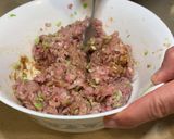 Foto del paso 4 de la receta: Dumplings de carne de cerdo