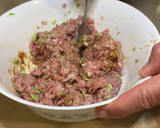 Foto del paso 4 de la receta: Dumplings de carne de cerdo