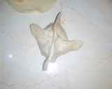 A picture of step 5 of Wontons.