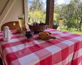 Foto del paso 6 de la receta: Alitas ahumadas a la parrilla (fácil)